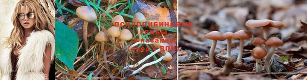 дистиллят марихуана Балахна