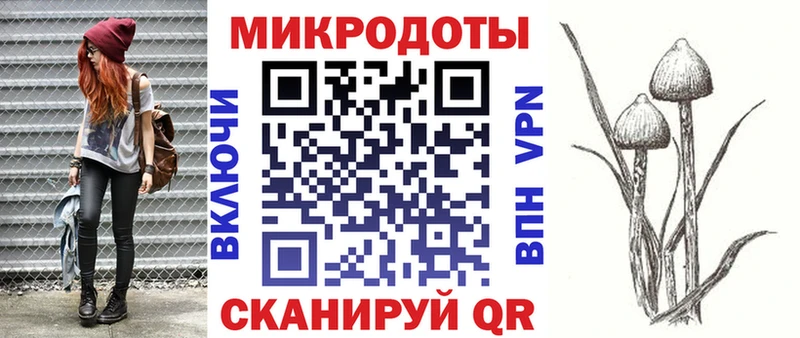 закладка Дно Галлюциногенные грибы прущие грибы